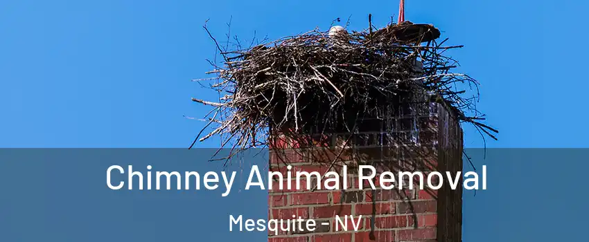 Chimney Animal Removal Mesquite - NV