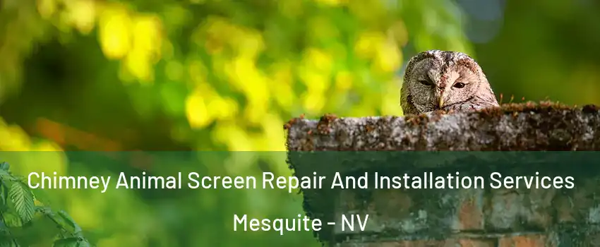 Chimney Animal Screen Repair And Installation Services Mesquite - NV