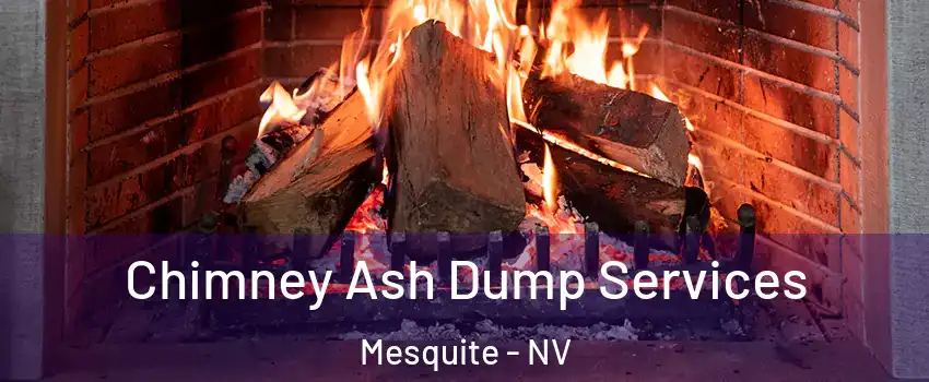  Chimney Ash Dump Services Mesquite - NV