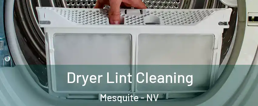  Dryer Lint Cleaning Mesquite - NV