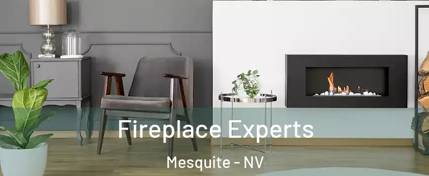  Fireplace Experts Mesquite - NV