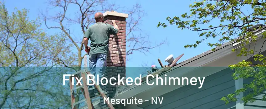  Fix Blocked Chimney Mesquite - NV