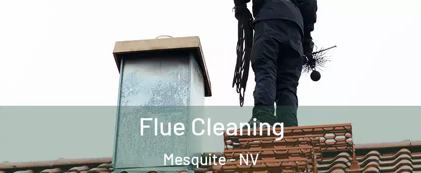  Flue Cleaning Mesquite - NV