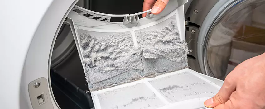 Best Dryer Lint Removal Company in Mesquite, Nevada