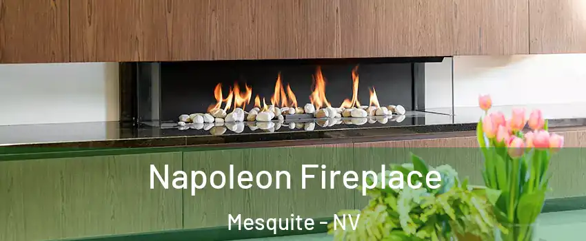  Napoleon Fireplace Mesquite - NV